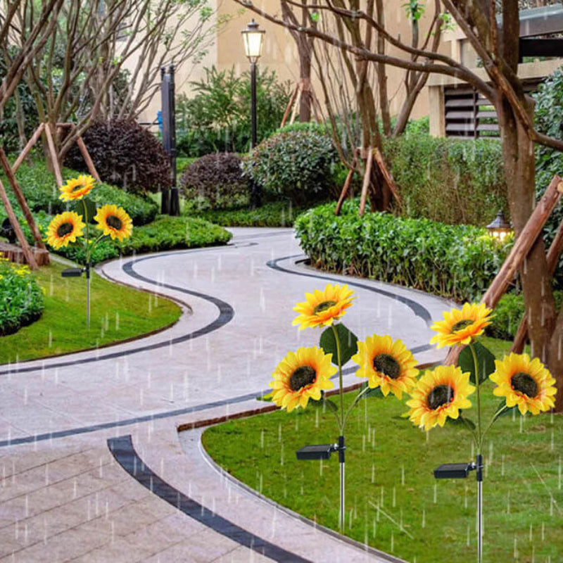 太陽のひまわりであなたの庭を明るくしましょう 