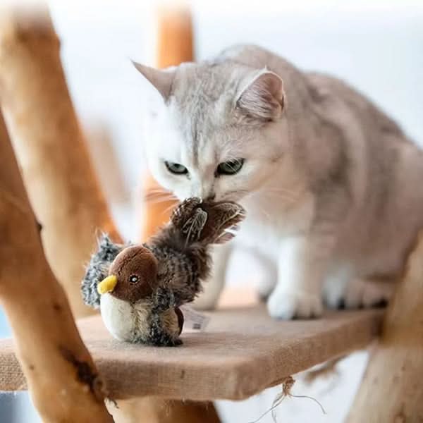 Stimulate your cat's natural instinct 