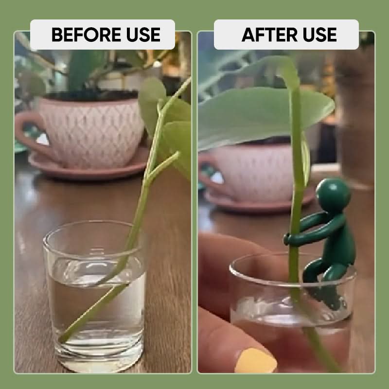 Support boutures décoratif et flexible pour plantes (x3)
