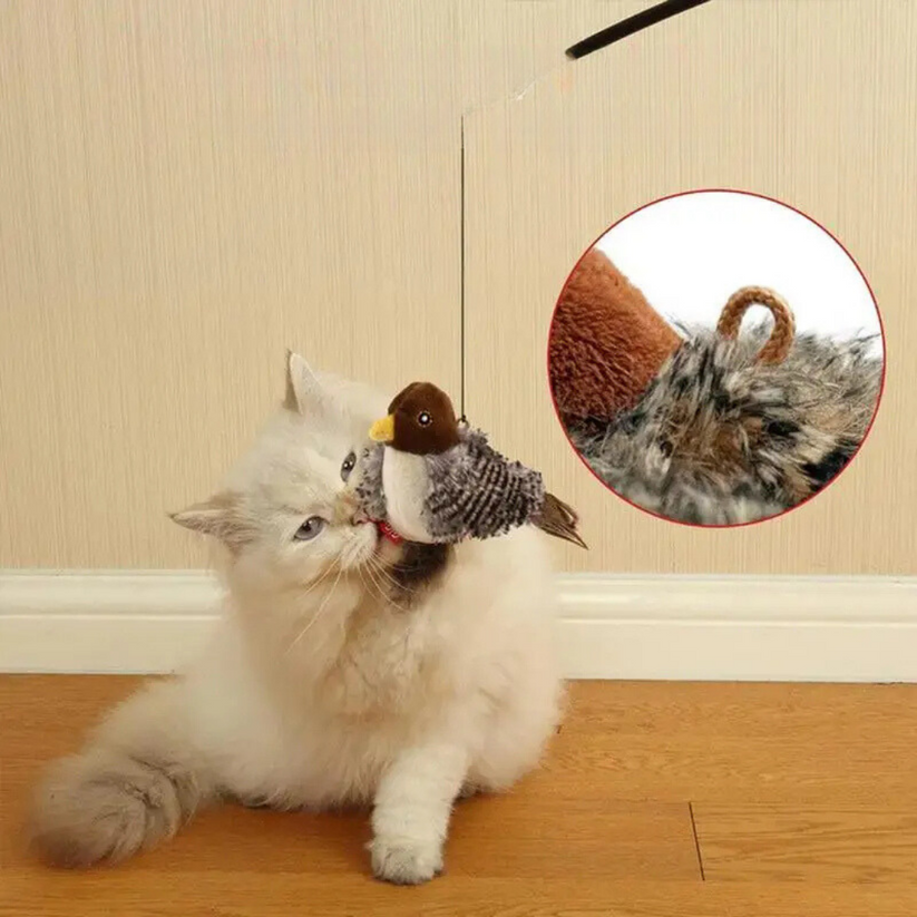 Stimulate your cat's natural instinct 