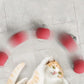 Bouncing toy for active and curious cats 