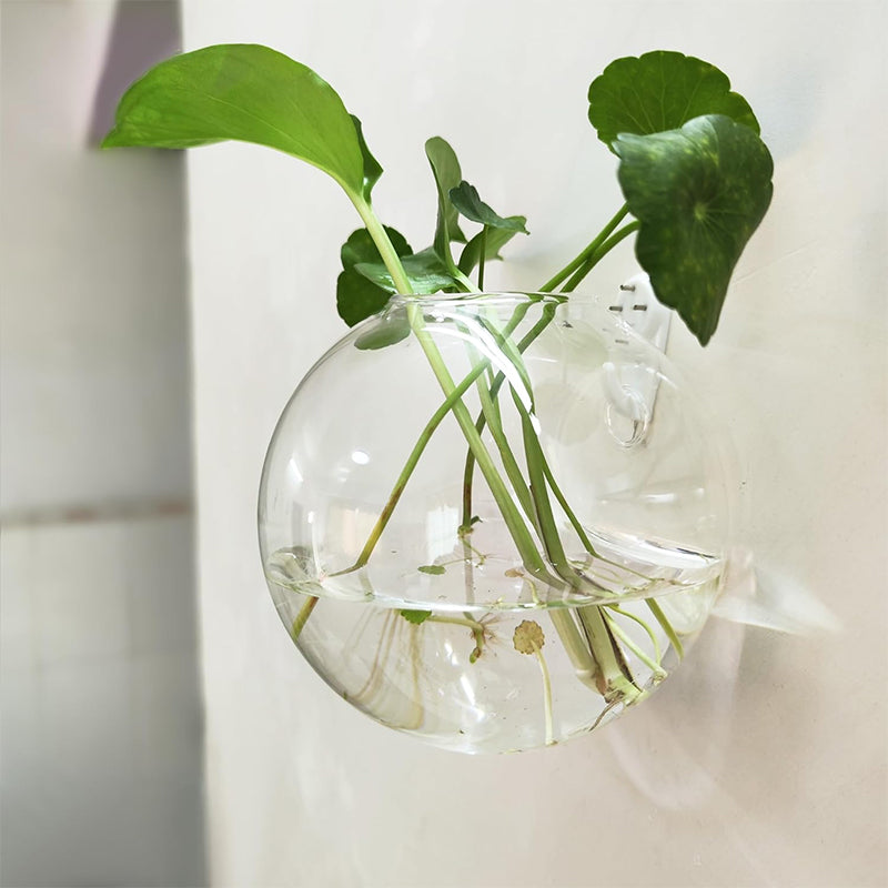 Αναδείξτε τα φυτά σας στους τοίχους σας, χωρίς να τρυπήσετε 