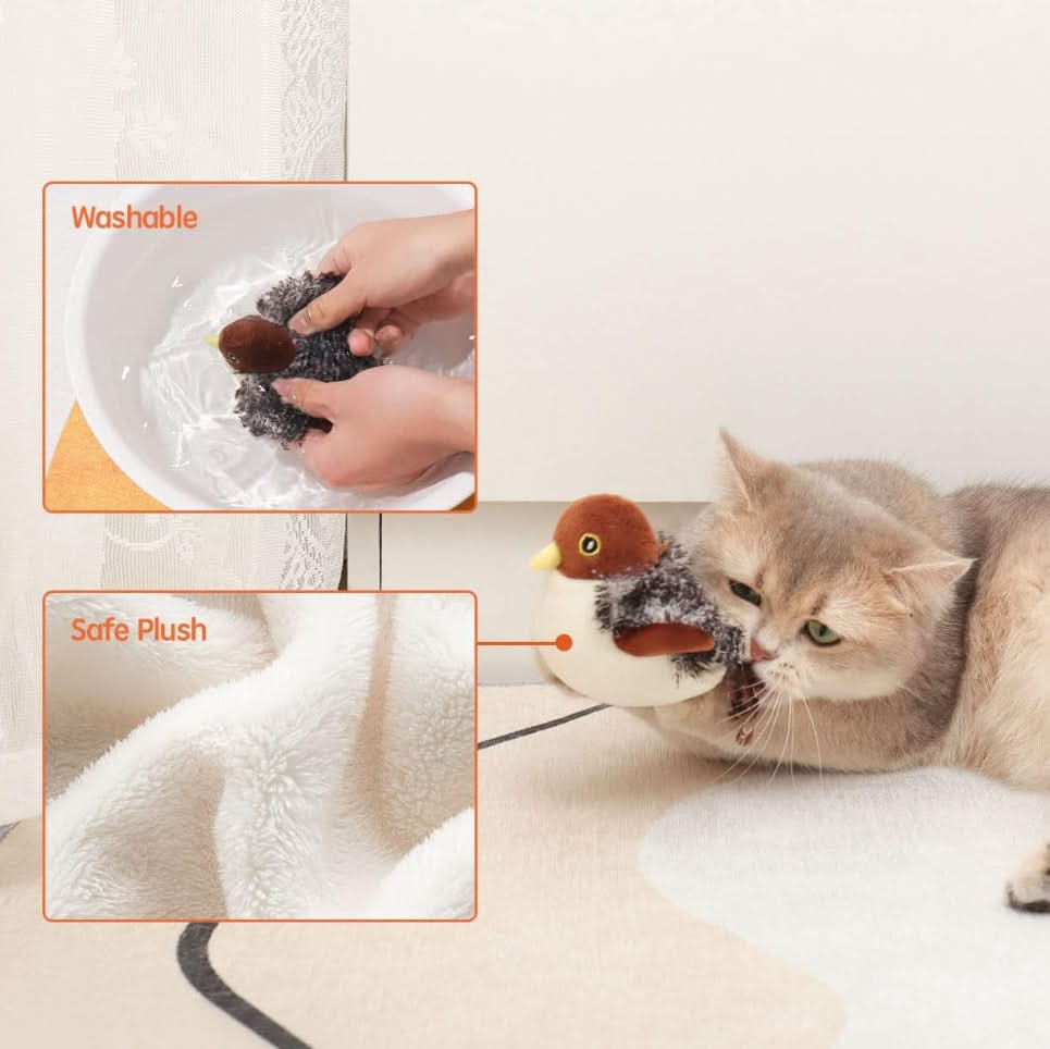 Stimulate your cat's natural instinct 
