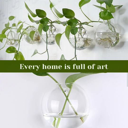 Αναδείξτε τα φυτά σας στους τοίχους σας, χωρίς να τρυπήσετε 