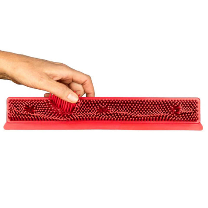 Éliminez les poils d’animaux en un seul passage