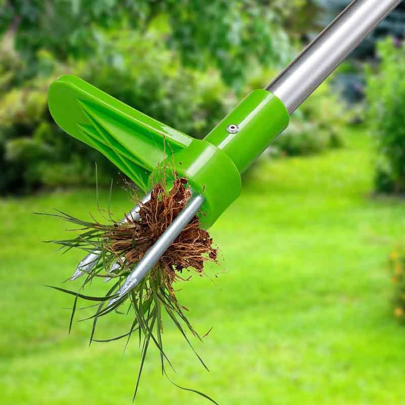 Steel weed extractor 