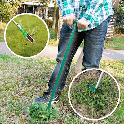 Steel weed extractor 