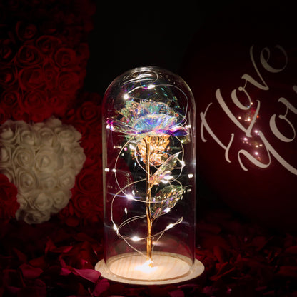 Rose sous Cloche – Élégance Lumineuse et Intemporelle