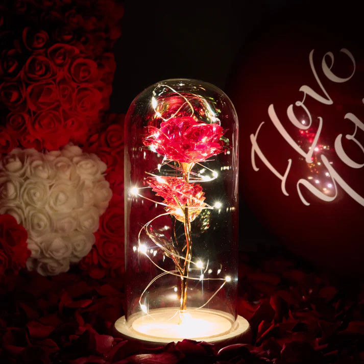 Rose sous Cloche – Élégance Lumineuse et Intemporelle